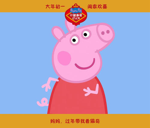 阿纳姆大学和奈梅亨大学理工科文凭证书